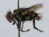  ( - INBIOCRI001308113)  @14 [ ] Unspecified (default): All Rights Reserved  Unspecified Unspecified