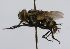  ( - INBIOCRI001369860)  @12 [ ] Unspecified (default): All Rights Reserved  Unspecified Unspecified