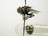  ( - INBIOCRI001699434)  @12 [ ] Unspecified (default): All Rights Reserved  Unspecified Unspecified