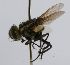 ( - INBIOCRI001789305)  @12 [ ] Unspecified (default): All Rights Reserved  Unspecified Unspecified