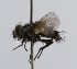  ( - INBIOCRI001794397)  @12 [ ] Unspecified (default): All Rights Reserved  Unspecified Unspecified