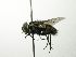 ( - INBIOCRI001906658)  @12 [ ] Unspecified (default): All Rights Reserved  Unspecified Unspecified