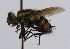  ( - INBIOCRI002048187)  @12 [ ] Unspecified (default): All Rights Reserved  Unspecified Unspecified