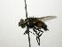  ( - INBIOCRI002142109)  @11 [ ] Unspecified (default): All Rights Reserved  Unspecified Unspecified