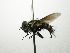  ( - INBIOCRI002241283)  @11 [ ] Unspecified (default): All Rights Reserved  Unspecified Unspecified