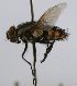  ( - INBIOCRI002327307)  @11 [ ] Unspecified (default): All Rights Reserved  Unspecified Unspecified