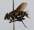  ( - INBIOCRI002428277)  @13 [ ] Unspecified (default): All Rights Reserved  Unspecified Unspecified