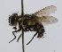  ( - INBIOCRI002467351)  @13 [ ] Unspecified (default): All Rights Reserved  Unspecified Unspecified