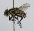  ( - INBIOCRI002503978)  @13 [ ] Unspecified (default): All Rights Reserved  Unspecified Unspecified