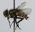  ( - INBIOCRI002503980)  @12 [ ] Unspecified (default): All Rights Reserved  Unspecified Unspecified