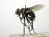  ( - INBIOCRI002563405)  @13 [ ] Unspecified (default): All Rights Reserved  Unspecified Unspecified