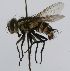  ( - INBIOCRI002563407)  @13 [ ] Unspecified (default): All Rights Reserved  Unspecified Unspecified