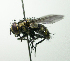 (Drino - Haber 000848)  @15 [ ] Unspecified (default): All Rights Reserved  Unspecified Unspecified
