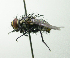  ( - Haber 000849)  @13 [ ] Unspecified (default): All Rights Reserved  Unspecified Unspecified