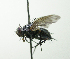  ( - Haber 000851)  @13 [ ] Unspecified (default): All Rights Reserved  Unspecified Unspecified