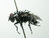  ( - Haber 000857)  @14 [ ] Unspecified (default): All Rights Reserved  Unspecified Unspecified