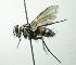  ( - Haber 000861)  @12 [ ] Unspecified (default): All Rights Reserved  Unspecified Unspecified