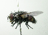 ( - Haber 000863)  @15 [ ] Unspecified (default): All Rights Reserved  Unspecified Unspecified