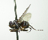  ( - INBIOCRI000560115)  @11 [ ] Unspecified (default): All Rights Reserved  Unspecified Unspecified