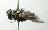  ( - INBIOCRI000880723)  @14 [ ] Unspecified (default): All Rights Reserved  Unspecified Unspecified