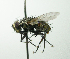  ( - INBIOCRI001210342)  @13 [ ] Unspecified (default): All Rights Reserved  Unspecified Unspecified