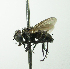  (Houghia Janzen7762 - INBIOCRI001777762)  @11 [ ] Unspecified (default): All Rights Reserved  Unspecified Unspecified
