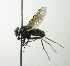  ( - INBIOCRI001788929)  @14 [ ] Unspecified (default): All Rights Reserved  Unspecified Unspecified