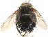  (Juriniopsis Janzen2169 - INBIOCRI001922553)  @14 [ ] Unspecified (default): All Rights Reserved  Unspecified Unspecified