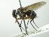  ( - INBIOCRI001932645)  @11 [ ] Unspecified (default): All Rights Reserved  Unspecified Unspecified