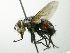  ( - INBIOCRI001992956)  @13 [ ] Unspecified (default): All Rights Reserved  Unspecified Unspecified