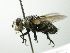  ( - INBIOCRI002034175)  @13 [ ] Unspecified (default): All Rights Reserved  Unspecified Unspecified