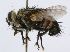 ( - INBIOCRI002127828)  @14 [ ] Unspecified (default): All Rights Reserved  Unspecified Unspecified