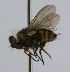  ( - INBIOCRI002136759)  @12 [ ] Unspecified (default): All Rights Reserved  Unspecified Unspecified