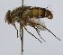  ( - INBIOCRI002235797)  @13 [ ] Unspecified (default): All Rights Reserved  Unspecified Unspecified
