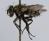  ( - INBIOCRI002241284)  @11 [ ] Unspecified (default): All Rights Reserved  Unspecified Unspecified
