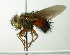  ( - INBIOCRI002365189)  @15 [ ] Unspecified (default): All Rights Reserved  Unspecified Unspecified
