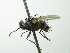  ( - INBIOCRI002384746)  @11 [ ] Unspecified (default): All Rights Reserved  Unspecified Unspecified