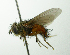  ( - INBIOCRI002398613)  @14 [ ] Unspecified (default): All Rights Reserved  Unspecified Unspecified