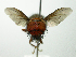  ( - INBIOCRI002406674)  @12 [ ] Unspecified (default): All Rights Reserved  Unspecified Unspecified