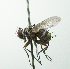  ( - INBIOCRI002416205)  @13 [ ] Unspecified (default): All Rights Reserved  Unspecified Unspecified