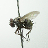  ( - INBIOCRI002416211)  @11 [ ] Unspecified (default): All Rights Reserved  Unspecified Unspecified