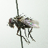  ( - INBIOCRI002416219)  @12 [ ] Unspecified (default): All Rights Reserved  Unspecified Unspecified