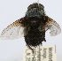  ( - INBIOCRI002451420)  @11 [ ] Unspecified (default): All Rights Reserved  Unspecified Unspecified