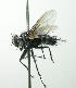  ( - INBIOCRI002487229)  @15 [ ] Unspecified (default): All Rights Reserved  Unspecified Unspecified