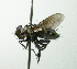  ( - INBIOCRI002546177)  @14 [ ] Unspecified (default): All Rights Reserved  Unspecified Unspecified