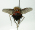 ( - INBIOCRI002551458)  @13 [ ] Unspecified (default): All Rights Reserved  Unspecified Unspecified