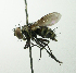  ( - INBIOCRI002568540)  @13 [ ] Unspecified (default): All Rights Reserved  Unspecified Unspecified