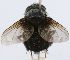  ( - INBIOCRI002595863)  @12 [ ] Unspecified (default): All Rights Reserved  Unspecified Unspecified