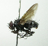  ( - inb0003131980)  @14 [ ] Unspecified (default): All Rights Reserved  Unspecified Unspecified