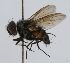  (Hypoproxynops Janzen2350 - inb0003148493)  @13 [ ] Unspecified (default): All Rights Reserved  Unspecified Unspecified